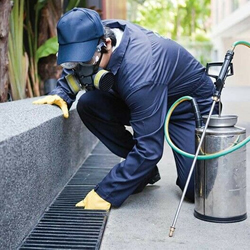 Fumigation & pest control